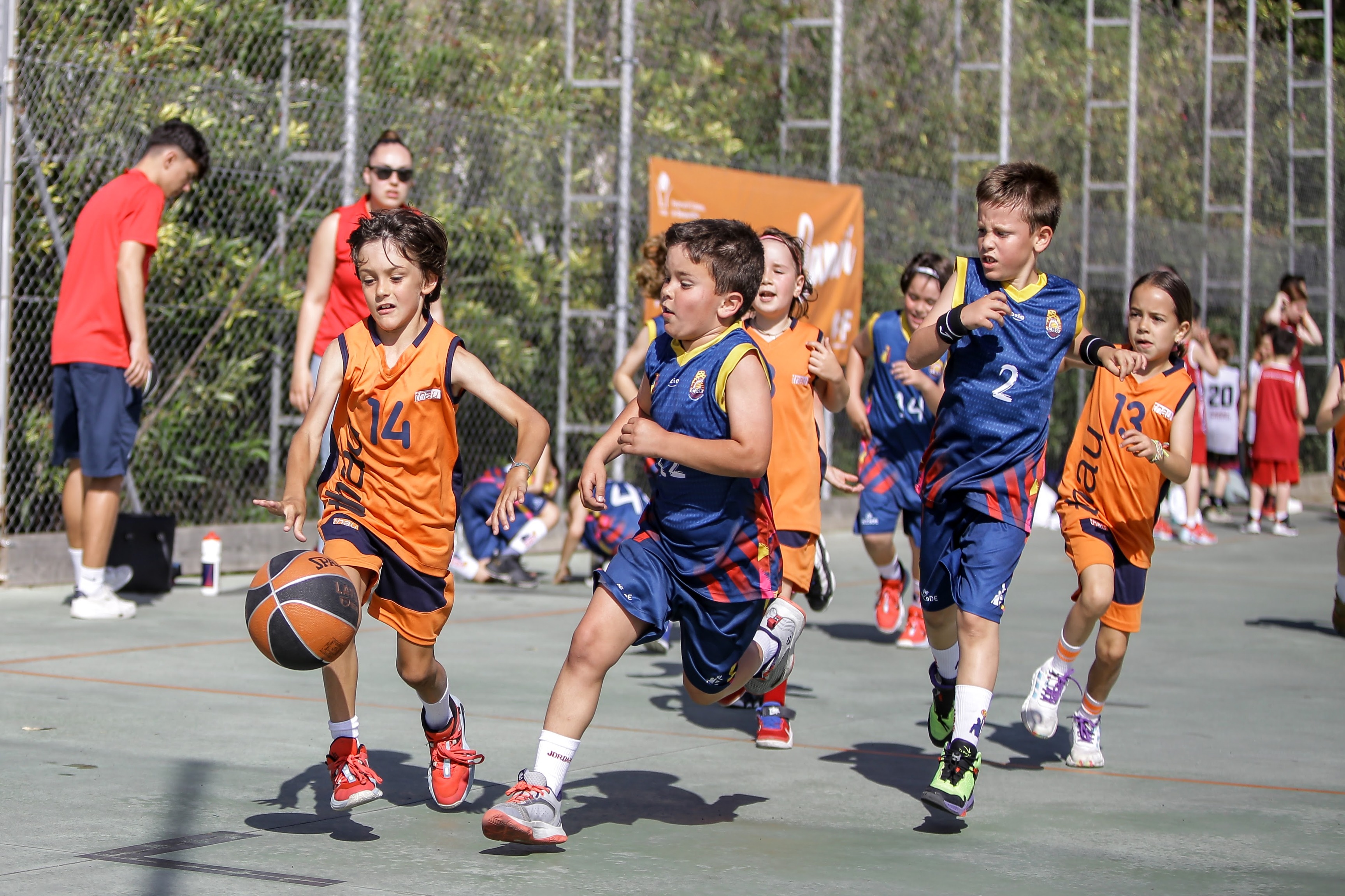 Magnífic punt i final a les Escoles de Bàsquet i Escobol de Barcelona