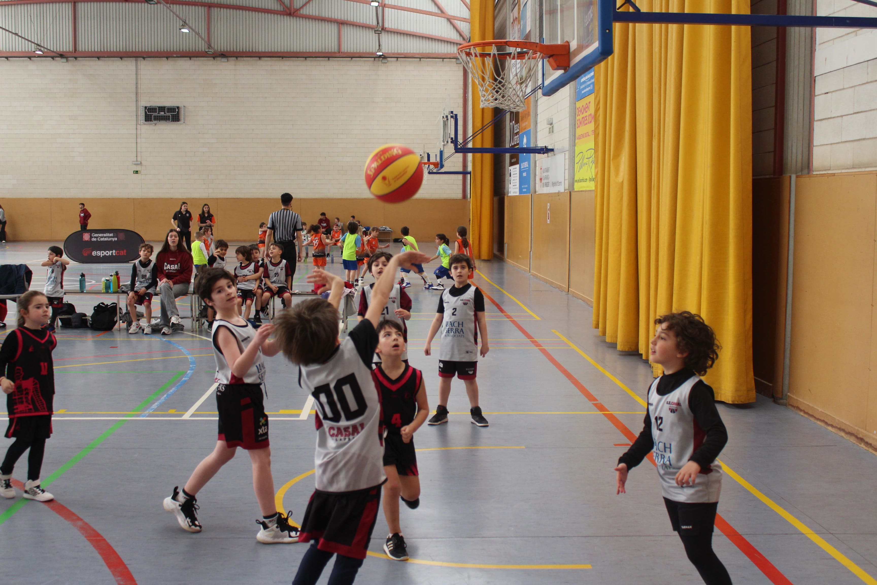 Vilafranca del Penedès acull la quarta Trobada del Circuit d'Escoles de Bàsquet