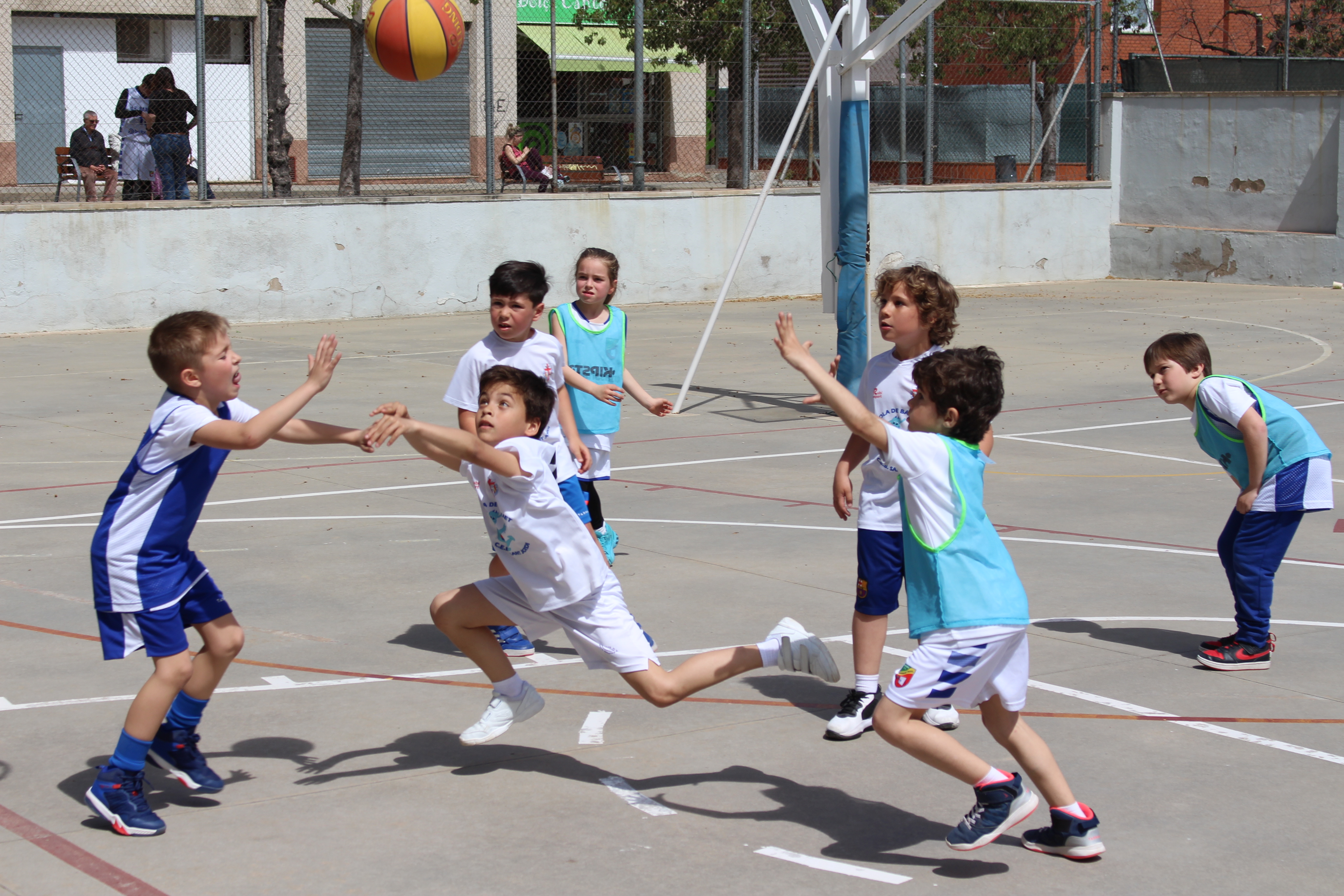 Tot apunt per la Escobol 23-24